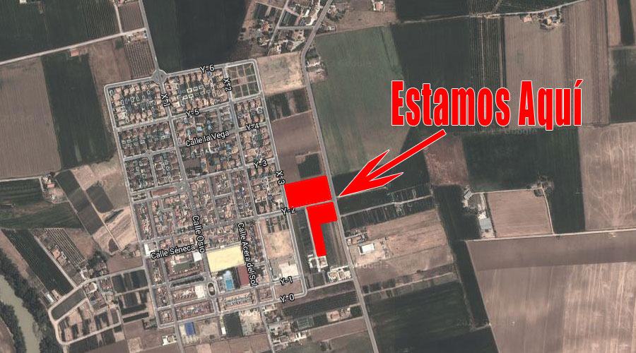 Viveros de Olivos San Eloy - Encinarejo (Córdoba)